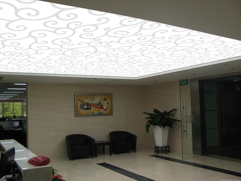 Заказать световые потолки new vision в г. Одинцово